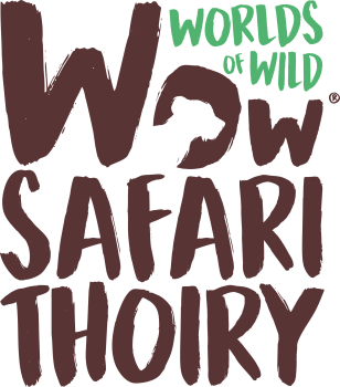 Wow Safari Thoiry